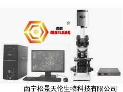 迈朗猪精子分析仪 厂家直销_供应产品_南宁松景天伦生物科技